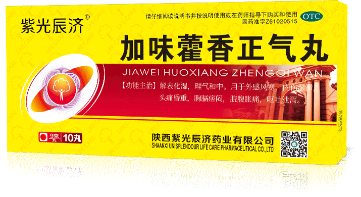 2024年新澳门管家婆资料大全