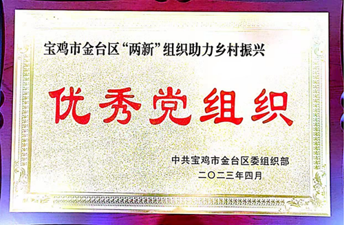 2024年新澳门管家婆资料大全