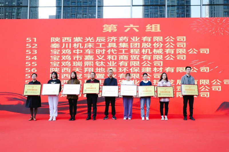 2024年新澳门管家婆资料大全
