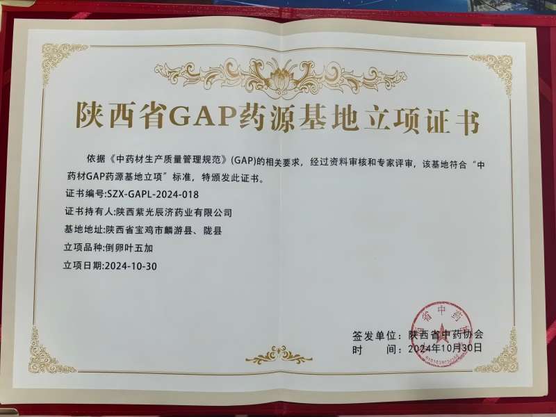 2024年新澳门管家婆资料大全