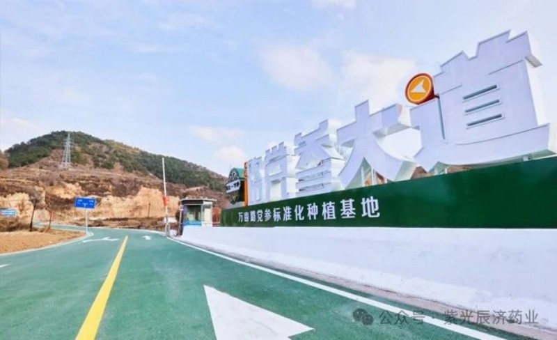2024年新澳门管家婆资料大全