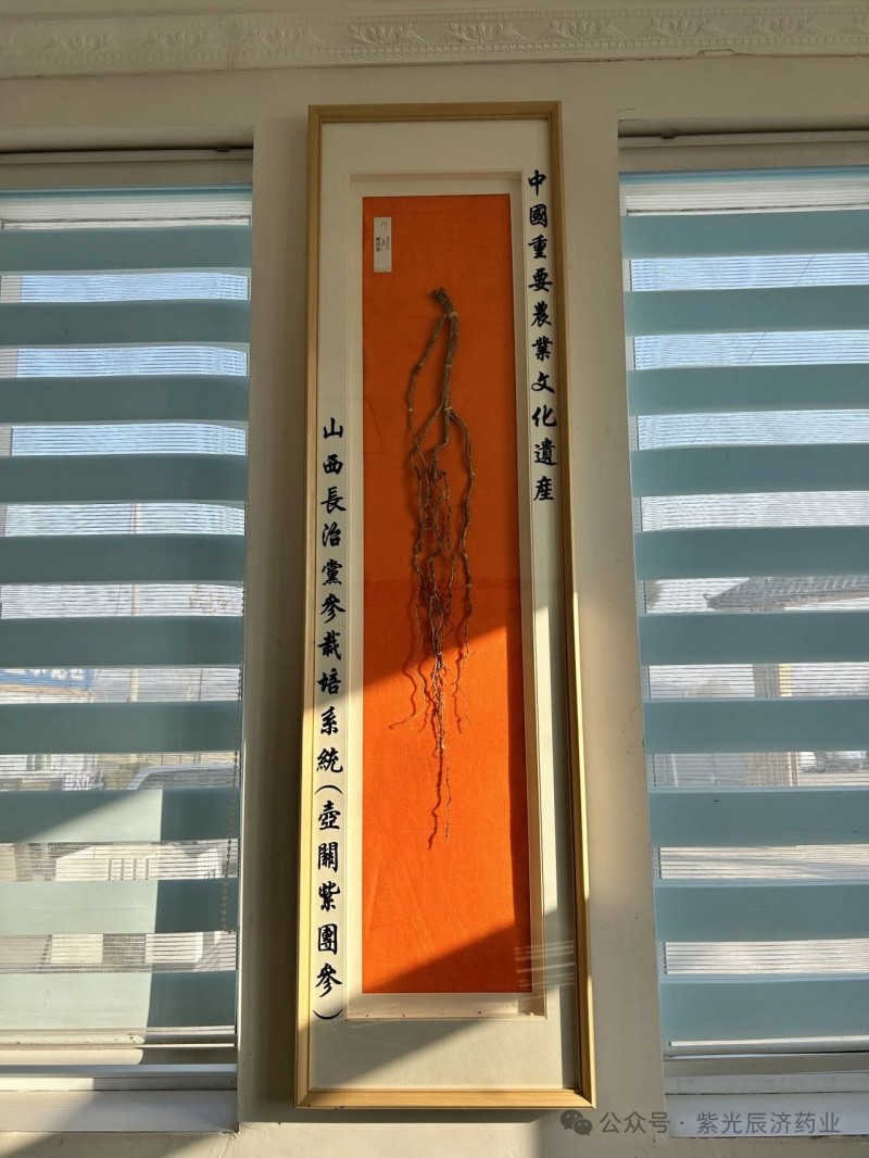 2024年新澳门管家婆资料大全