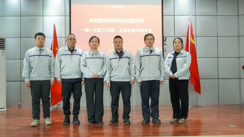 2024年新澳门管家婆资料大全